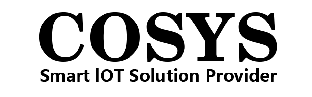 CO-SYS IT Company Limited